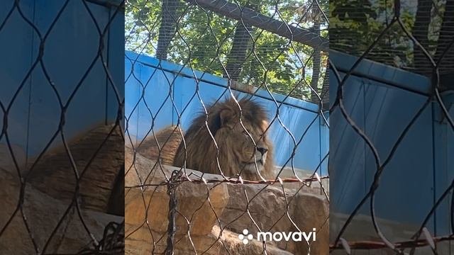 Мечтай! Путешествуй!