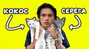 Holy Baam - Песня про котят (Серега и Кокос) Даня Милохин