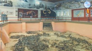 История 6 класс (Урок№16 - Народы и государства на территории нашей страны в древности.)