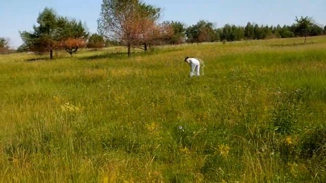 ПСН News 2 / Молодая картошка. Собираю грибы и ягоду смотреть онлайн