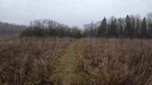 От деревни Углынь до реки Озерна