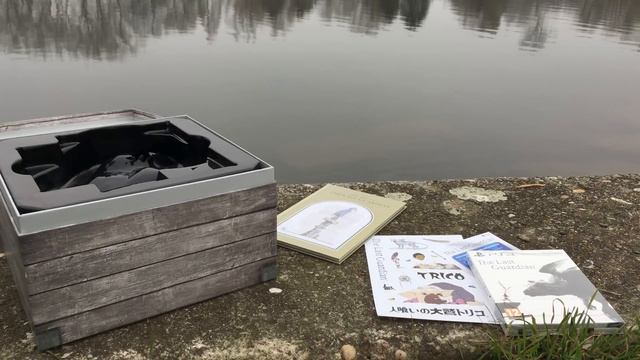 РАСПАКОВКА THE LAST GUARDIAN COLLECTOR'S EDITION смотреть онлайн