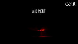 Catit Senses 2.0 Fireball Игрушка для кошек Огненный шар - www.myaw.by