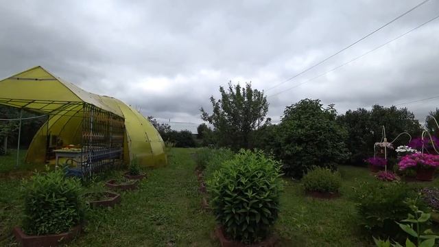 1-2 июля. Почему вдруг перестает болеть спина. Прополола за 20 минут без боли. смотреть онлайн