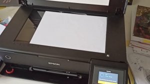Problems with Epson L8180 scanner