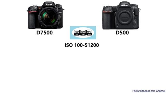 Nikon D7500 Vs Nikon D500