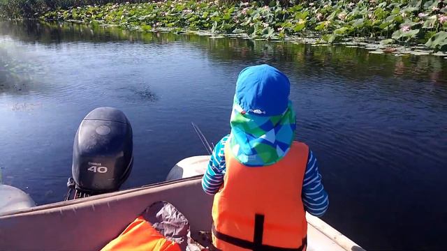 Ловим окуня и щуку в Дельте Волги на раскатах смотреть онлайн