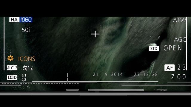 Эволюция?#природа#жизнь смотреть онлайн