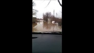 Шкода октавия тур 1.9 TDI заплыв