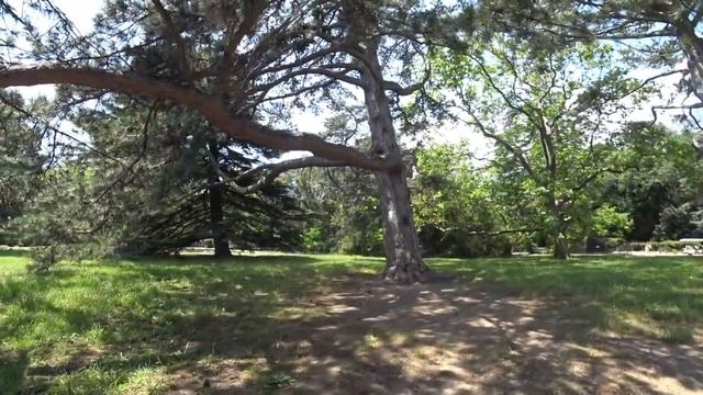 Воронцовский дворец в Крыму. Полный восторг смотреть онлайн