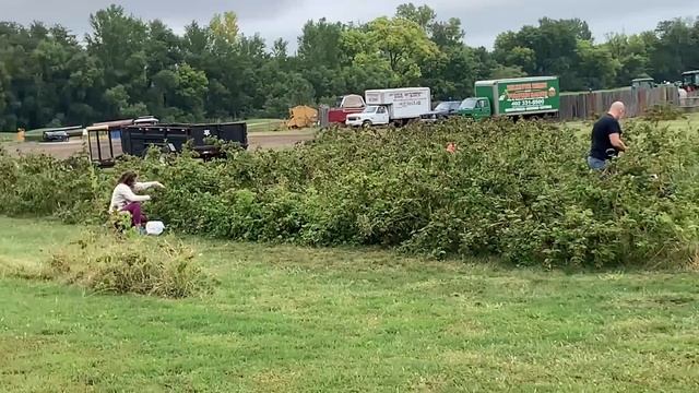 Съездили на ферму в Америке | Убираемся в гараже | Жизнь в США влог смотреть онлайн