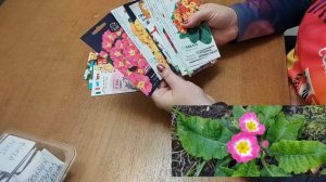 Что посеять в январе и феврале в Сибири?