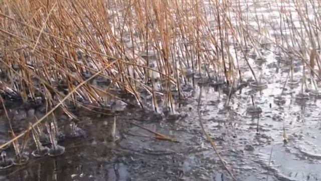 Чудеса рядом. смотреть онлайн