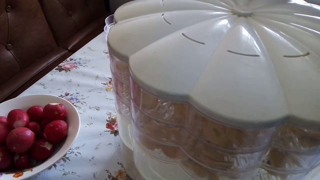 Сушим чеснок. смотреть онлайн