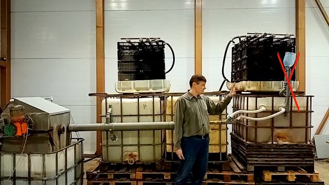 С чего начинается акваферма для клариевого сома