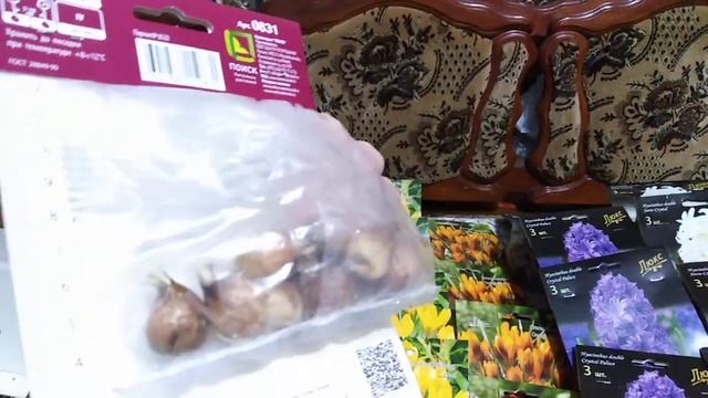 Мой ассортимент крокусов и гиацинтов к 8 марта. смотреть онлайн