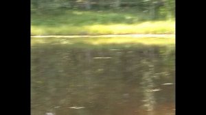 Парк "Кедровый лог" гор.  Сургут 2006 год