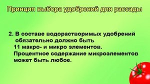 Что надо для правильной подкормки рассады томатов.