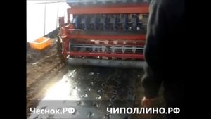 сажалка, сеялка для лука севка, чеснока в пленку