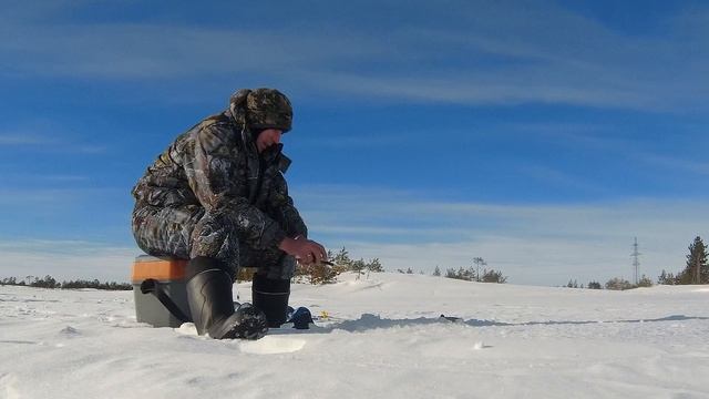 Мотобуксировщик в лесу | Рыбалка зимой с мотособакой смотреть онлайн