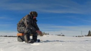 Мотобуксировщик в лесу | Рыбалка зимой с мотособакой