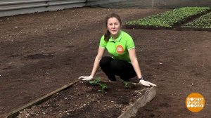 Согреваем землю. Доброе утро. Фрагмент выпуска от 24.04.2020