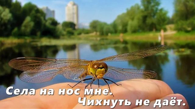 Беззаботное лето смотреть онлайн