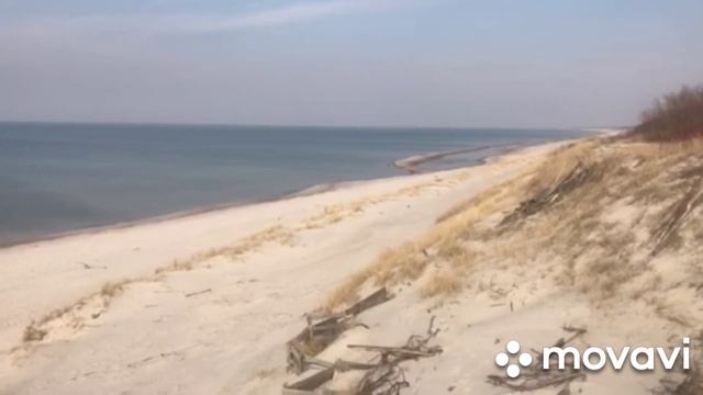 #куршскаякоса#природа    Коса,море,солнце.