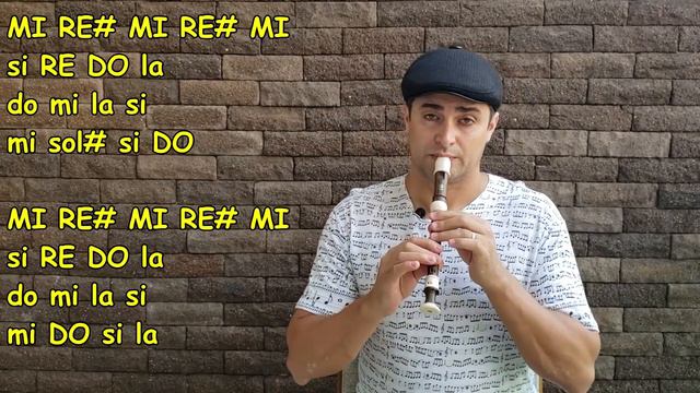 FUR ELISE - BEETHOVEN (Versão Flauta Doce) Flute Dulce смотреть онлайн