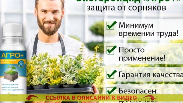 Борьба с сорняками латук татарский