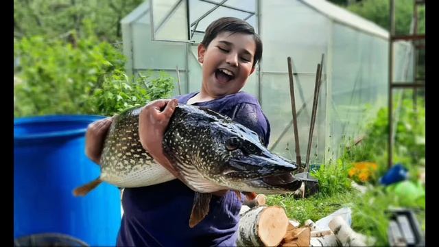 6 июня 2023 г. смотреть онлайн