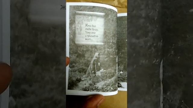 Я жду вас в Самтавро смотреть онлайн