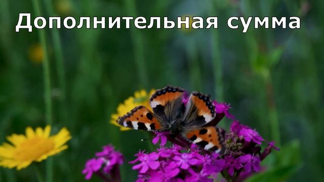Германия 2023 НОВЫЙ пакет ПОМОЩИ ВСЕМ ! Какие выплаты будут в Германии в 2023 ? Германия 24