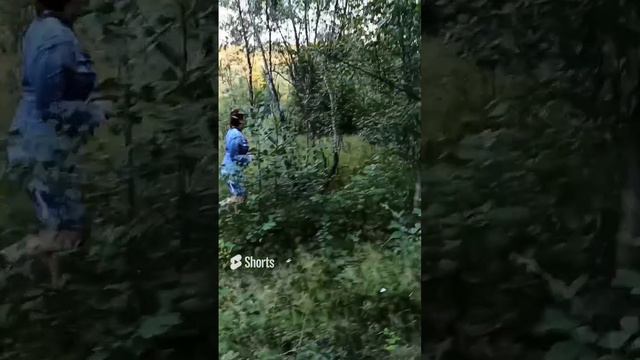 когда поел грибов)) смотреть онлайн