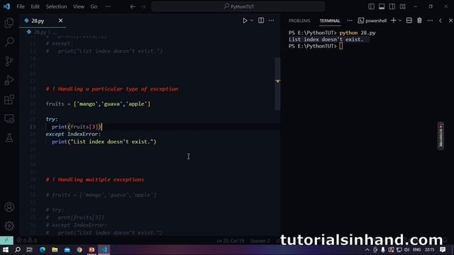 Errors Exceptions and Exception Handling in Python #viral #pythontutorial