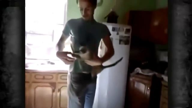 CRAZY JOKE #40 - ВЫПОРОТЬ