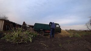Содержание племенного хряка. Работа по хозяйству. Жизнь в деревне.