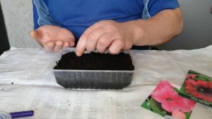 Посадка Петунии в Феврале(99,9% всхожести) Часть 1/Как Вырастить Рассаду Цветов из Мелких Семян/(0+