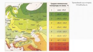 Морозостойкость растений, что это_ Карты зимостойкости растений для России и Украины.mp4