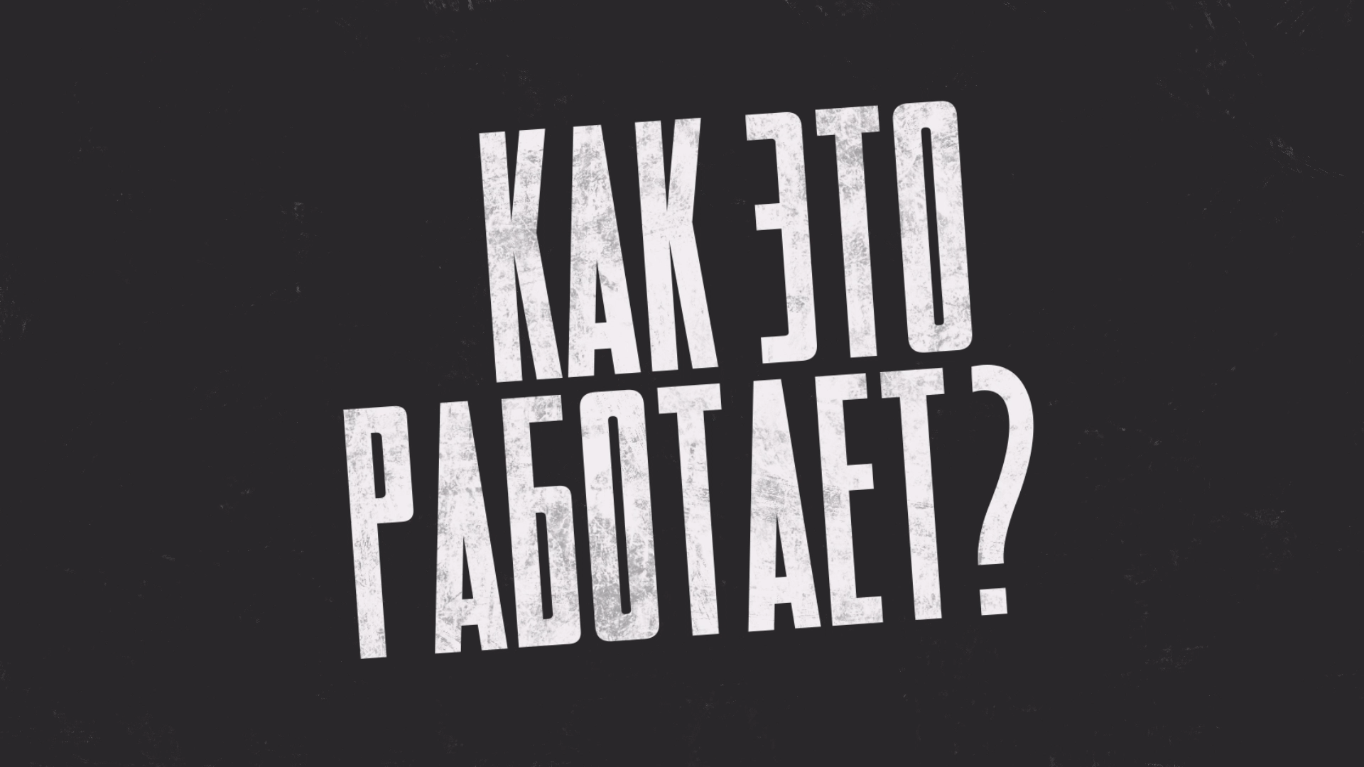 Как это работает? Надымский центр кинологической службы (28.05.21)