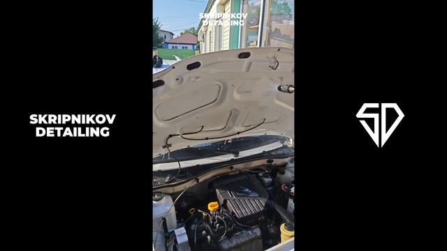 SKRIPNIKOV DETAILING | LADA LARGUS | COMPLEX PRO смотреть онлайн