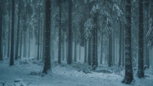 Snow Winter Ambience With Meditation Relaxing Music |Winter Wonderland |Winter Snow Background Vide