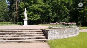 Люблю берёзку русскую, то светлую,то грустную...10 км пешком Любимый Павловск?