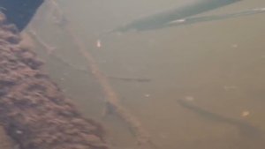 Ещё один прекрасный зимний день. Шкиль Игорь