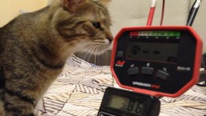 Vanquish 340 разряд батареек до минимума.