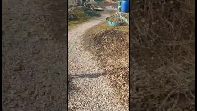 Едем устанавливать винтовые сваи
