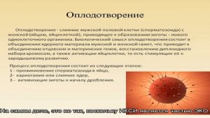 Почему выбирают ИКСИ? Показания, суть процедуры и отличие от ЭКО