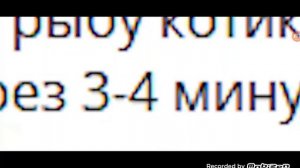 СБОРНИК ВСЕХ МИФОВ В ЧИКЕН ГАН НО ЭТО СНИМАЕТ ЖУРА 24К@zhupa25k@zhupa25k