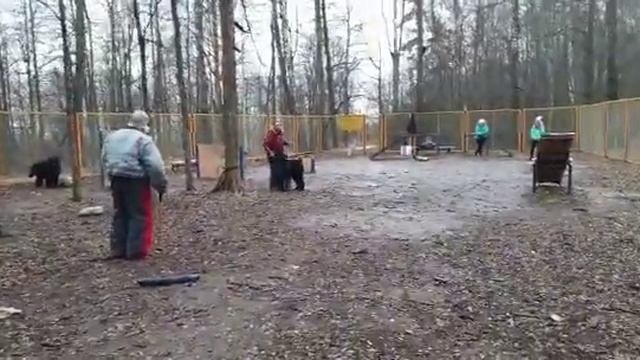 Рчт Скуратовская Яночка цыганочка