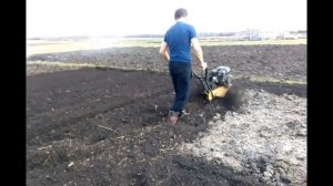Делаем культивацию и грядки на мотоблоке